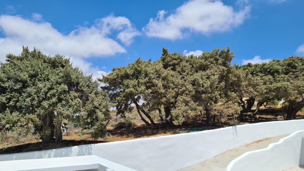 Seanfinity Beachfront Suites Mikri Vigla Exterior photo
